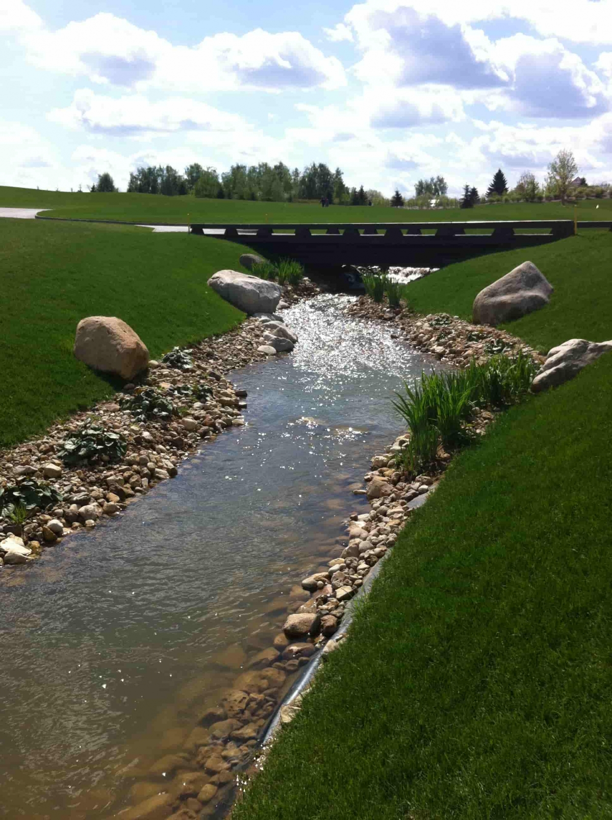 Streams, waterways and ponds | Design Works Group
